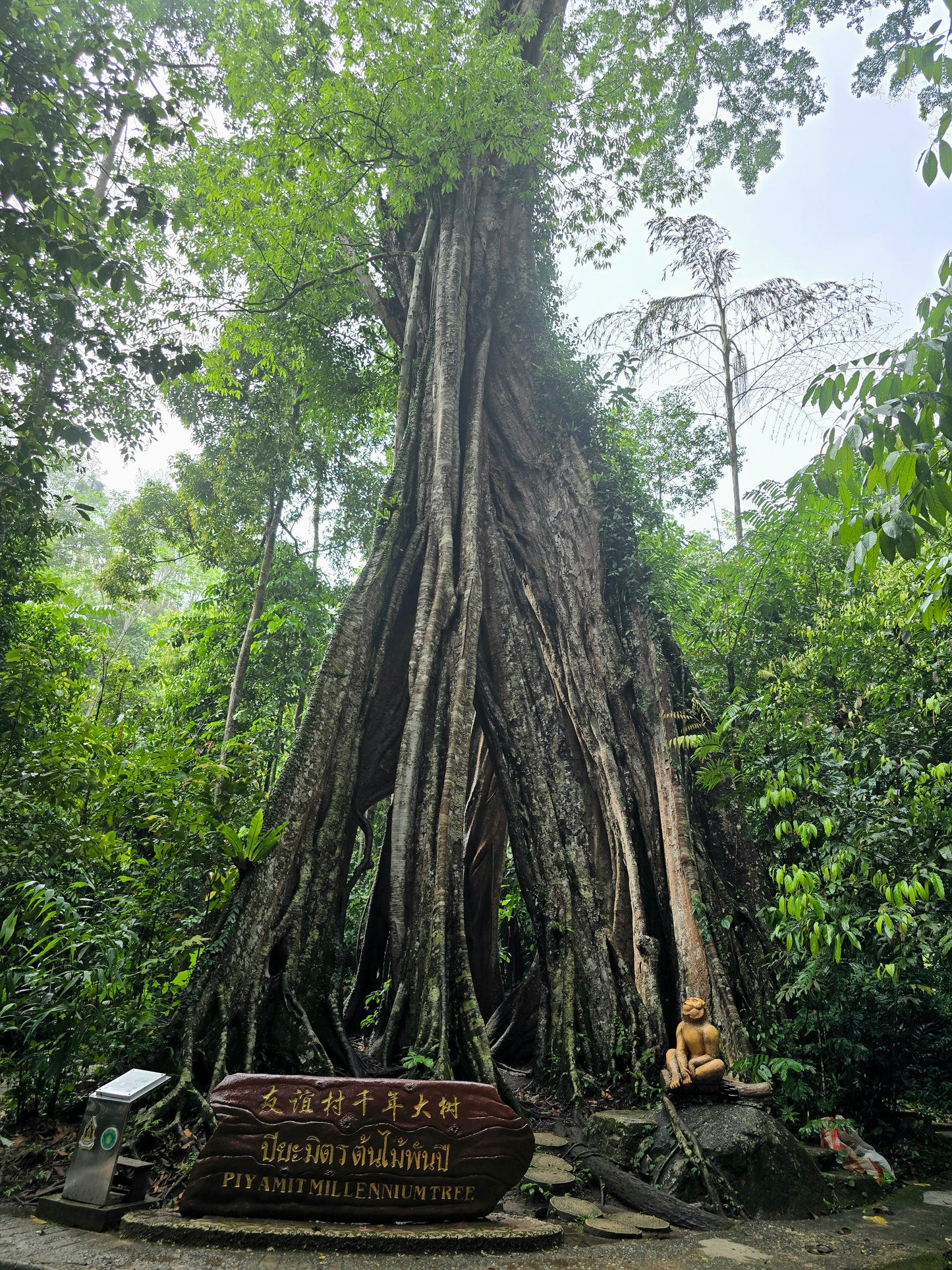 Phuket – Phang Nga – Krabi