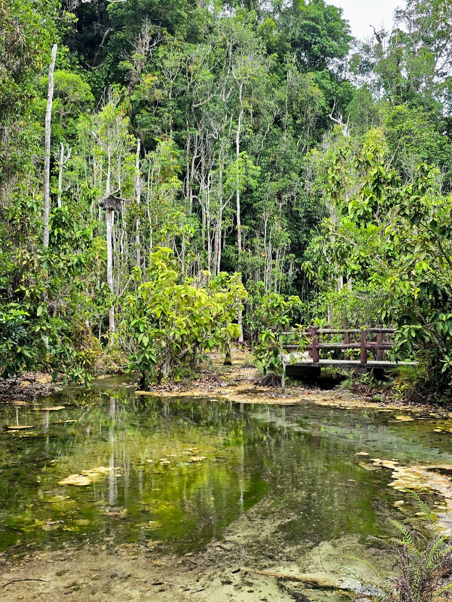 Phuket – Phang Nga – Krabi