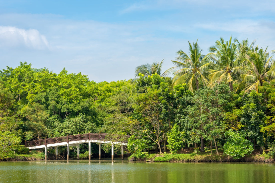 ทัวร์ายวัน-บางกะเจ้า สุนทรียภาพแห่งธรรมชาติและปอดสีเขียว