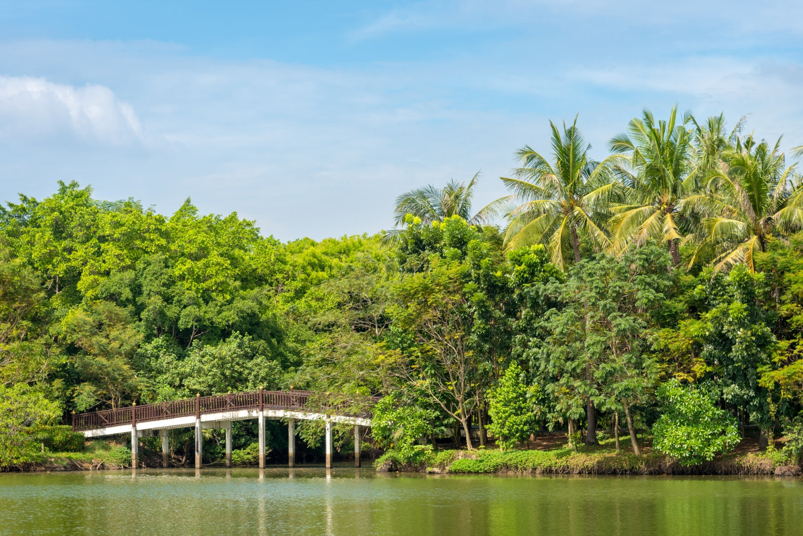ทัวร์ายวัน-บางกะเจ้า สุนทรียภาพแห่งธรรมชาติและปอดสีเขียว