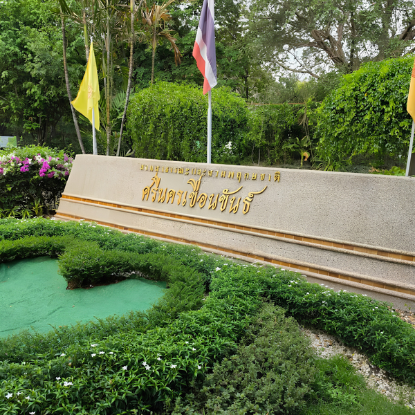 Daily Tour - Bang Kachao, The Aesthetics of Nature and Bangkok's Green Lung.