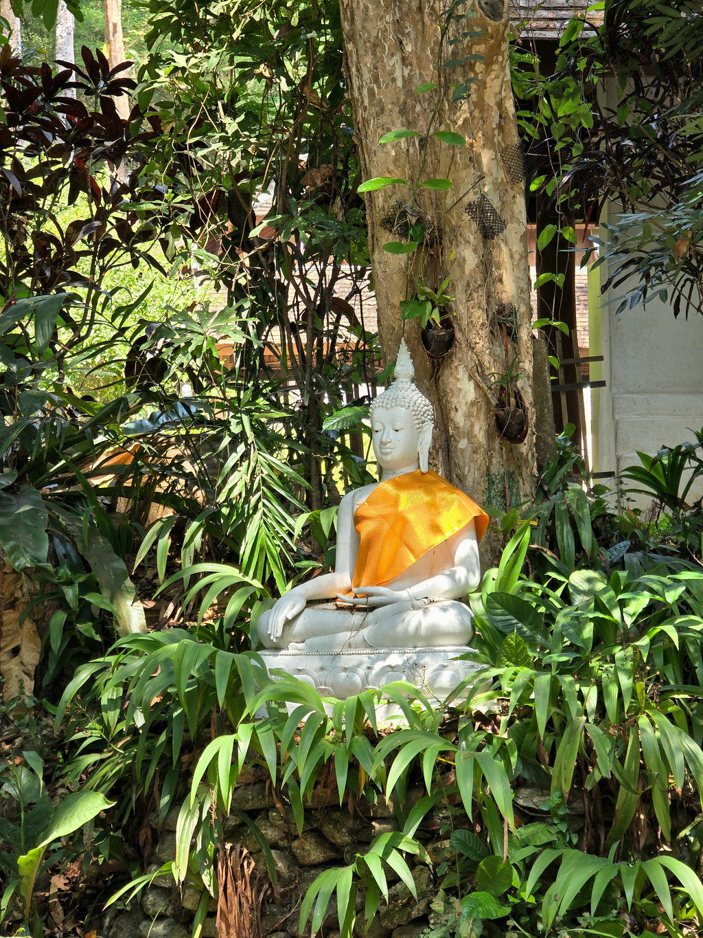 Chiang Rai - Chiang Mai
