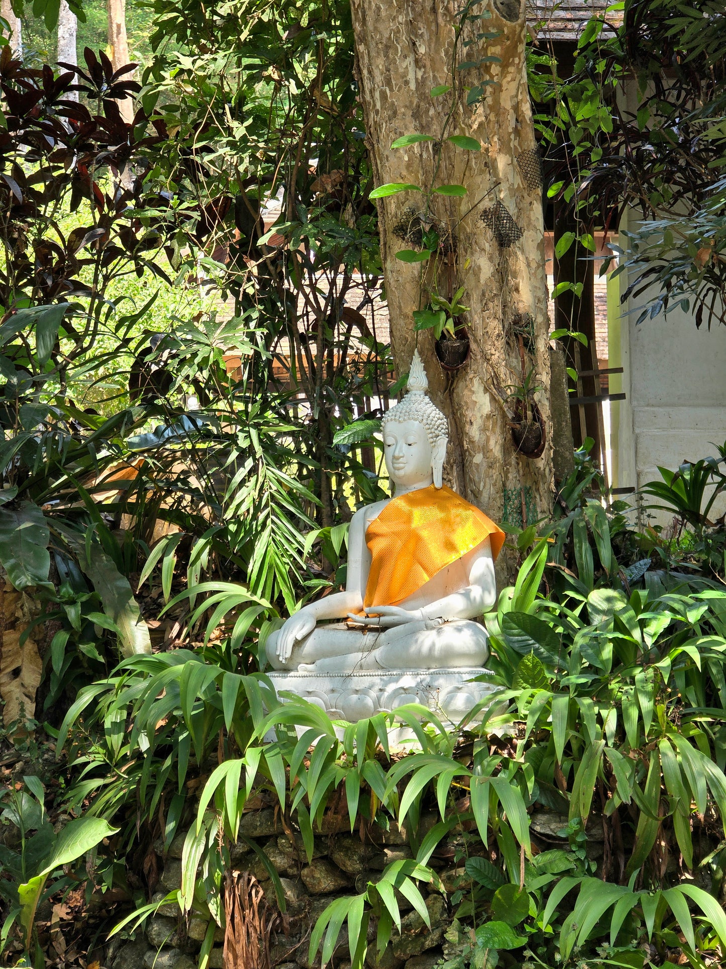 Chiang Rai - Chiang Mai