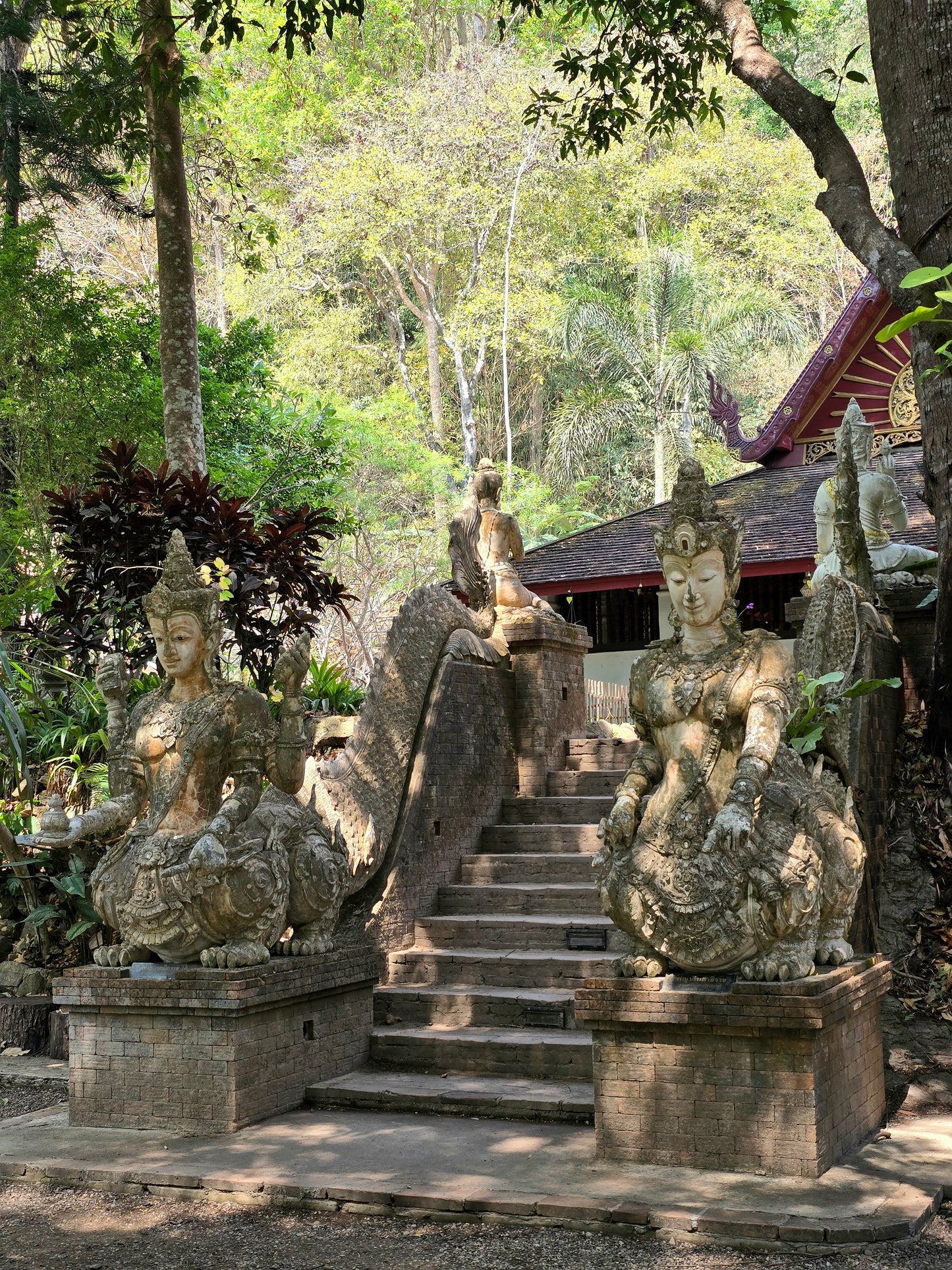 Chiang Rai - Chiang Mai