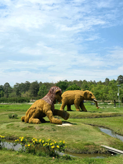 Chiang Rai - Chiang Mai