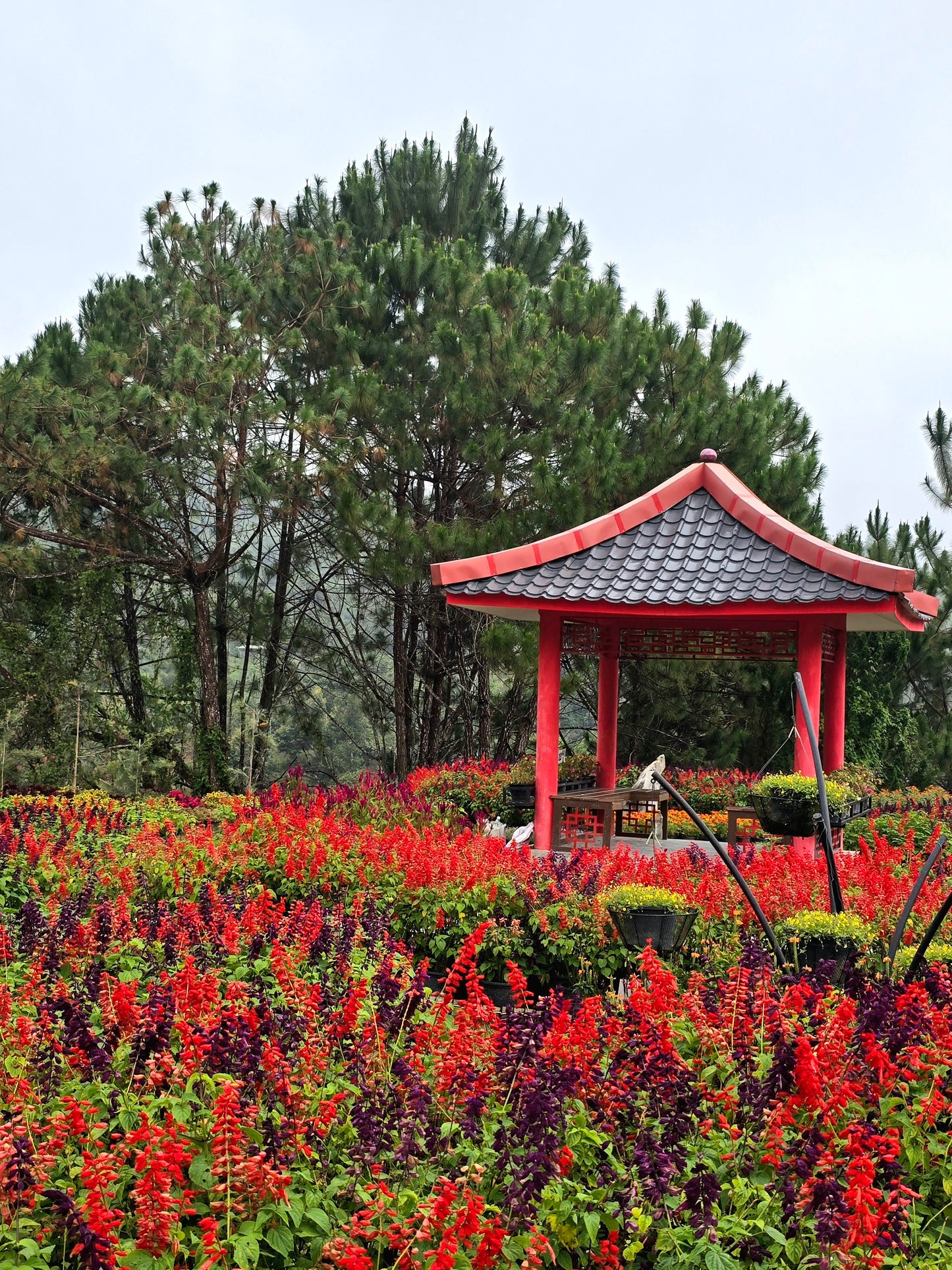 นราธิวาส-ยะลา-ปัตตานี-สงขลา