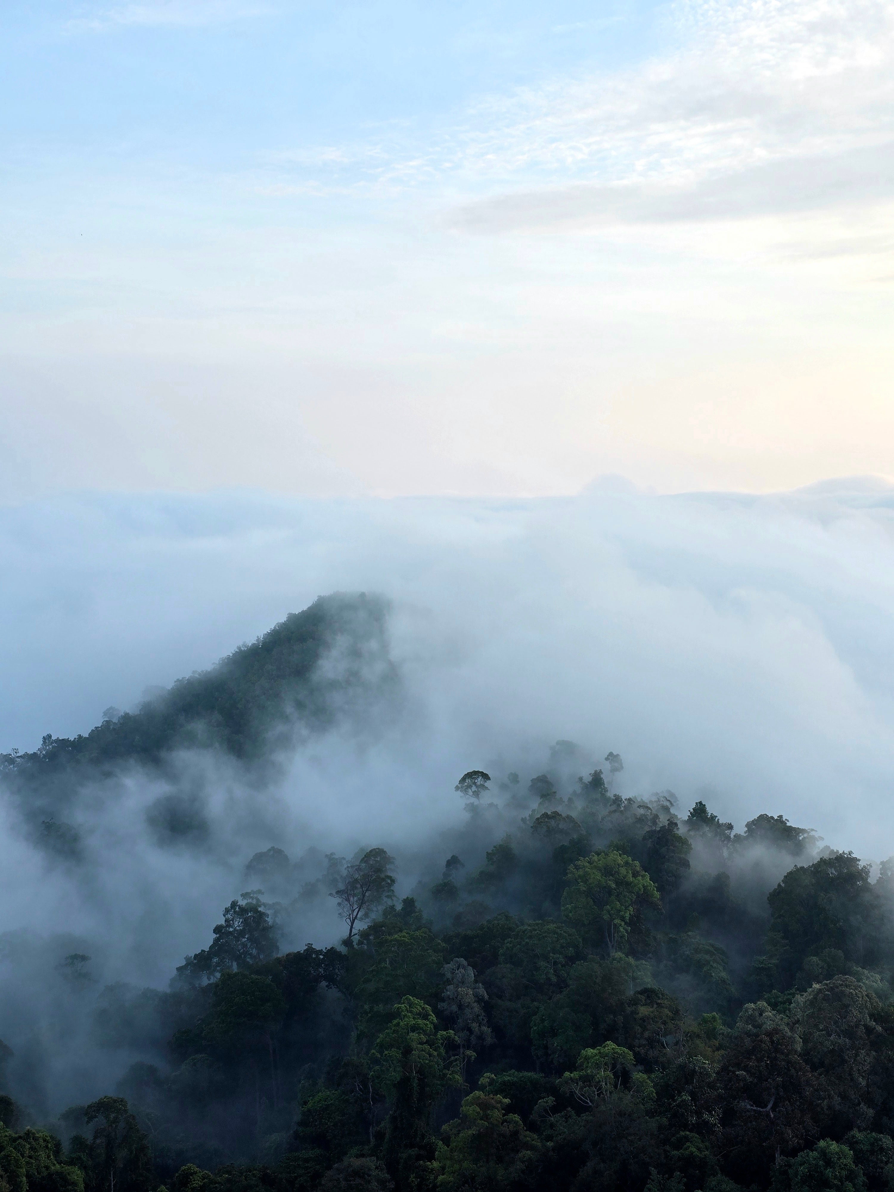 Narathiwat-Yala-Pattani-Songkhla
