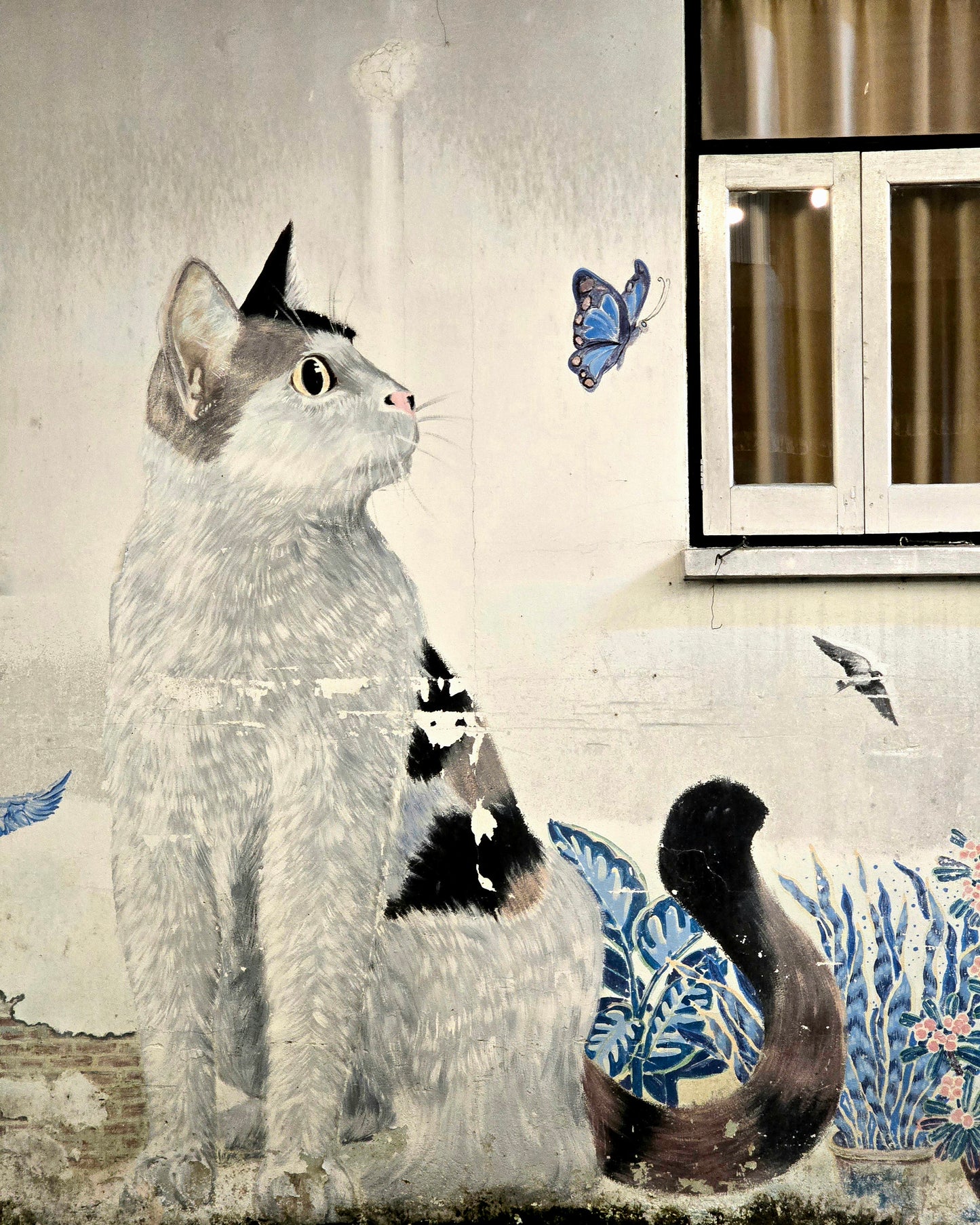 นราธิวาส-ยะลา-ปัตตานี-สงขลา