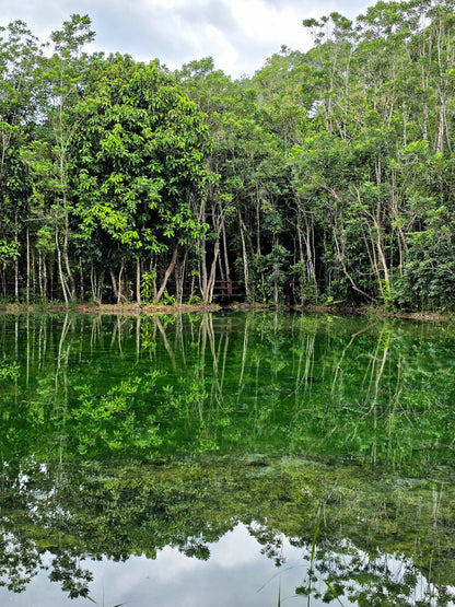 Phuket – Phang Nga – Krabi