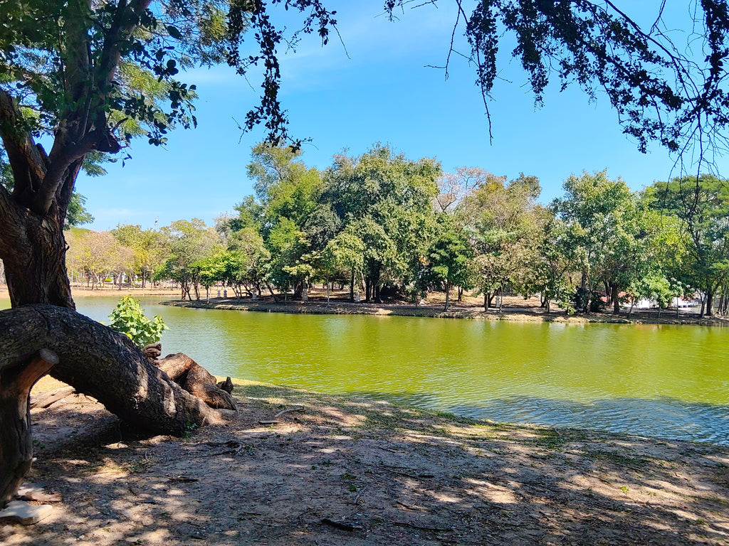 Daily Tour - Ayutthaya, Dawn of Civilization and World Heritage.