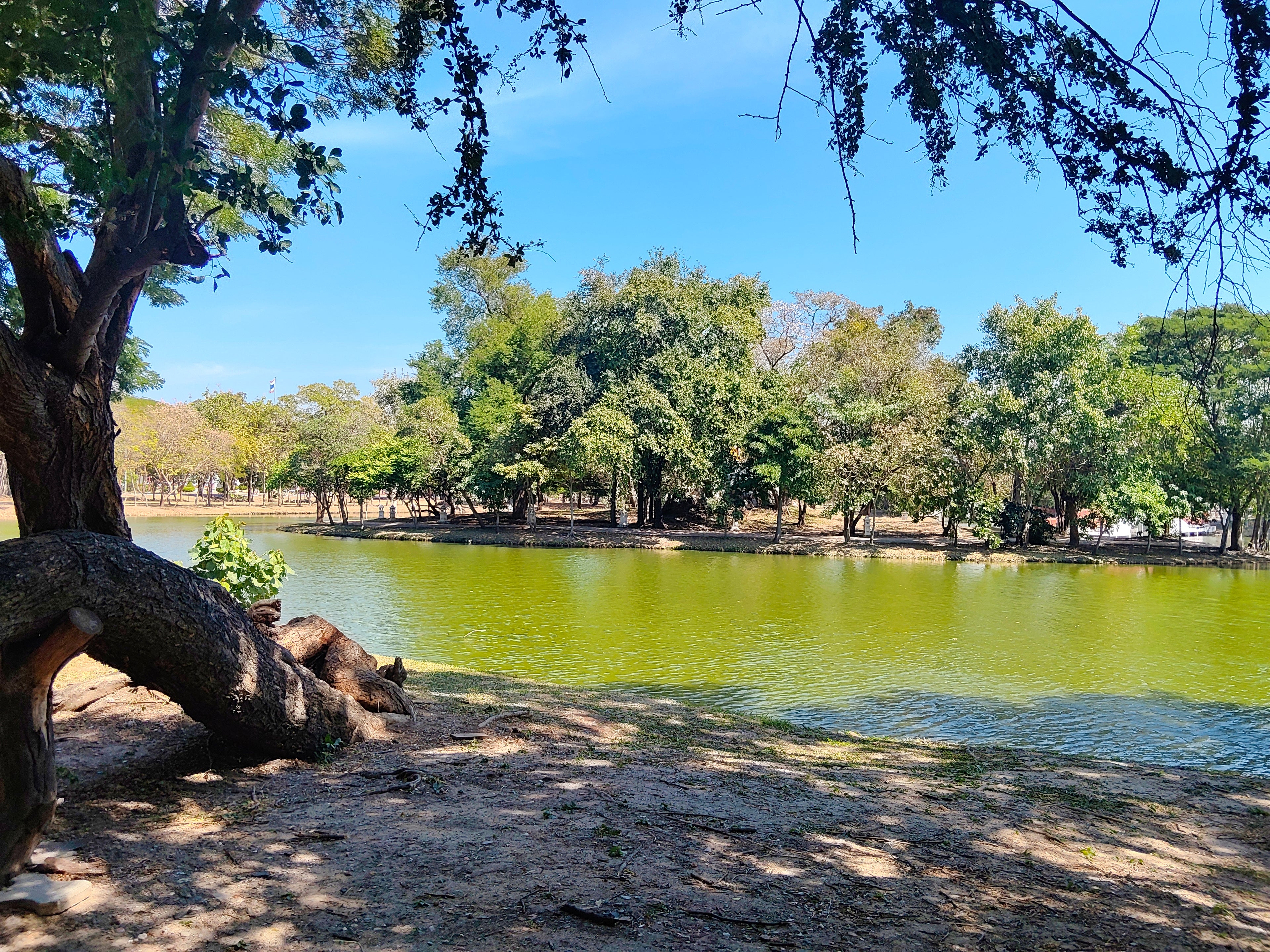 Daily Tour - Ayutthaya, Dawn of Civilization and World Heritage.