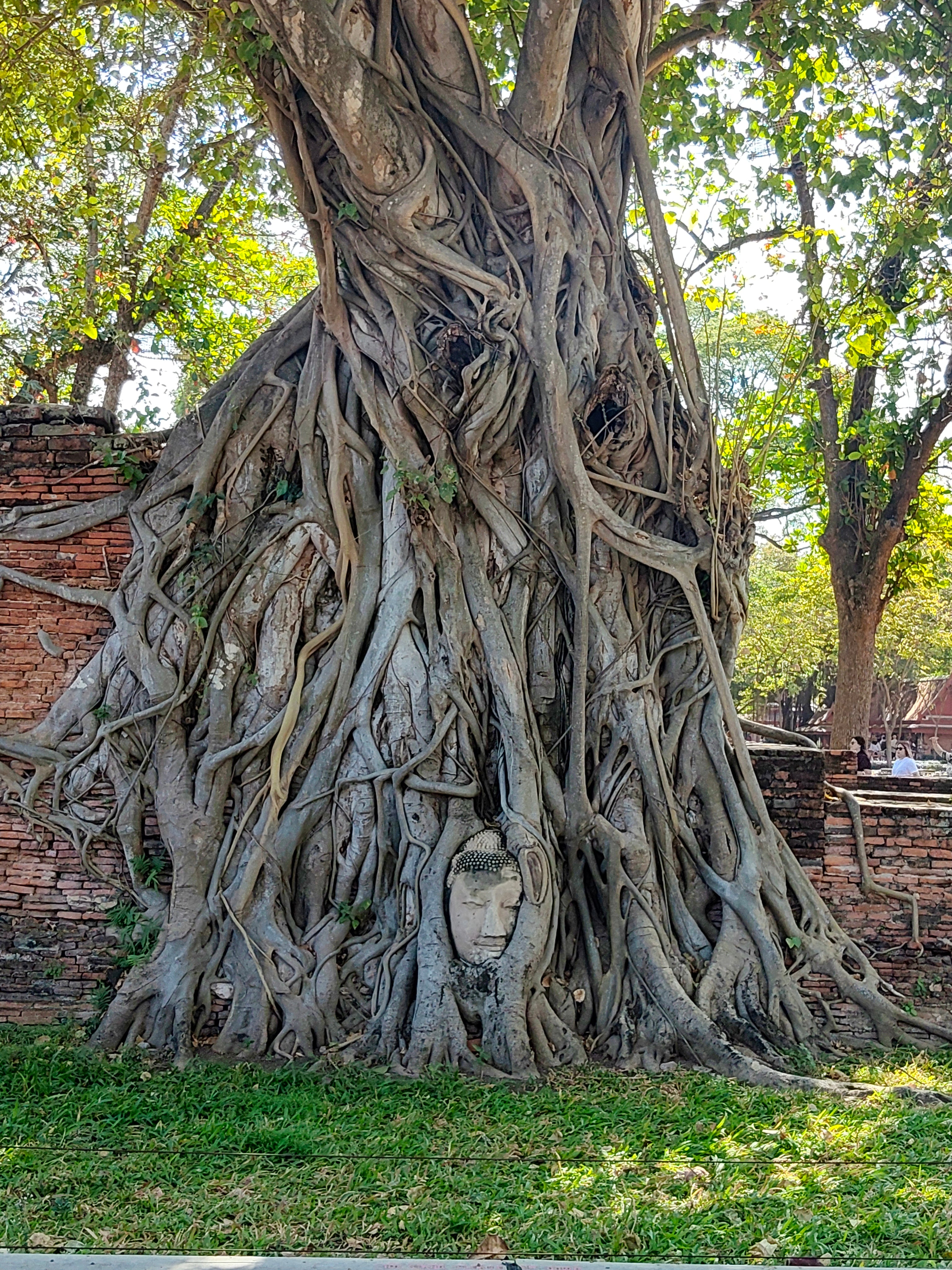 Daily Tour - Ayutthaya, Dawn of Civilization and World Heritage.