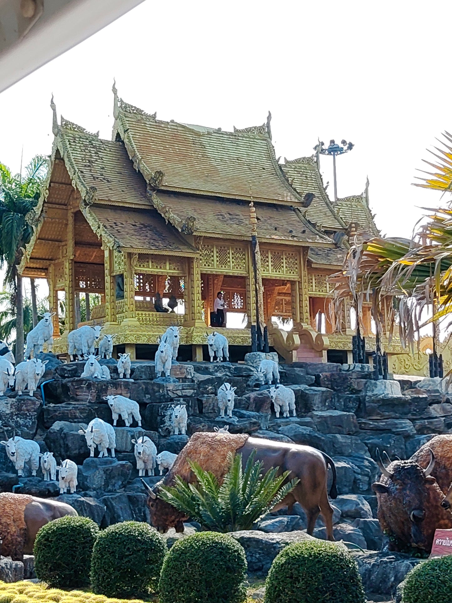 กรุงเทพฯ-พัทยา-อยุธยา