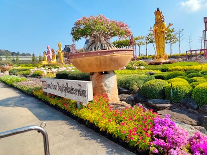 กรุงเทพฯ-พัทยา-อยุธยา