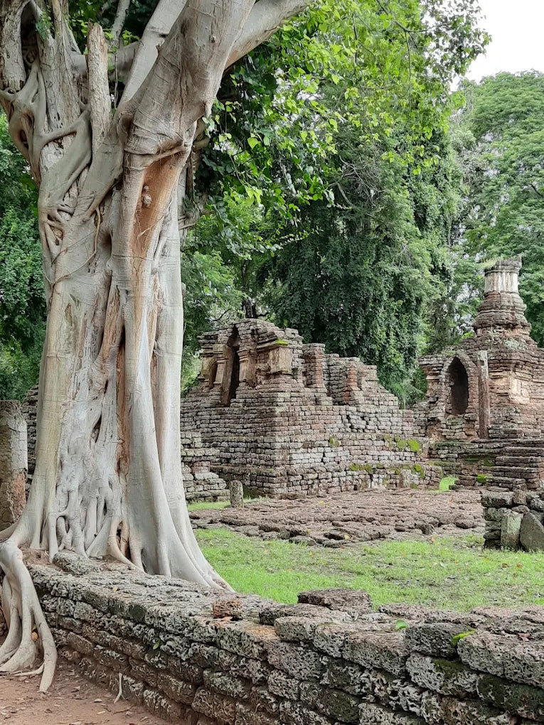 พิษณุโลก–สุโขทัย–ศรีสัชนาลัย–กำแพงเพชร 5 วัน 4 คืน