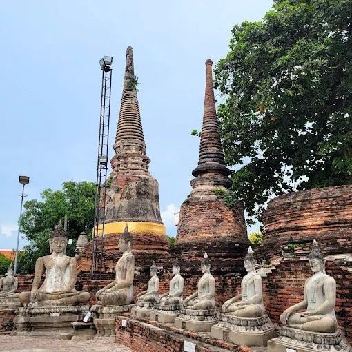 Daily Tour - Ayutthaya, Dawn of Civilization and World Heritage.