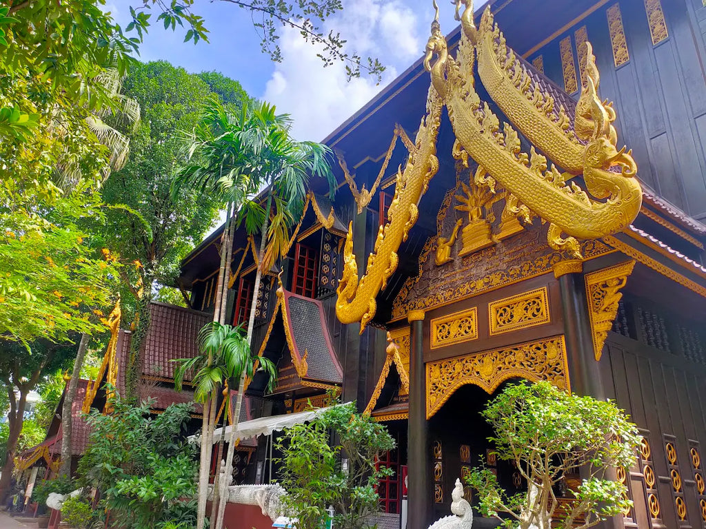 เชียงราย–ภูชี้ฟ้า–เชียงใหม่–ดอยอินทนนท์ 5 วัน 4 คืน