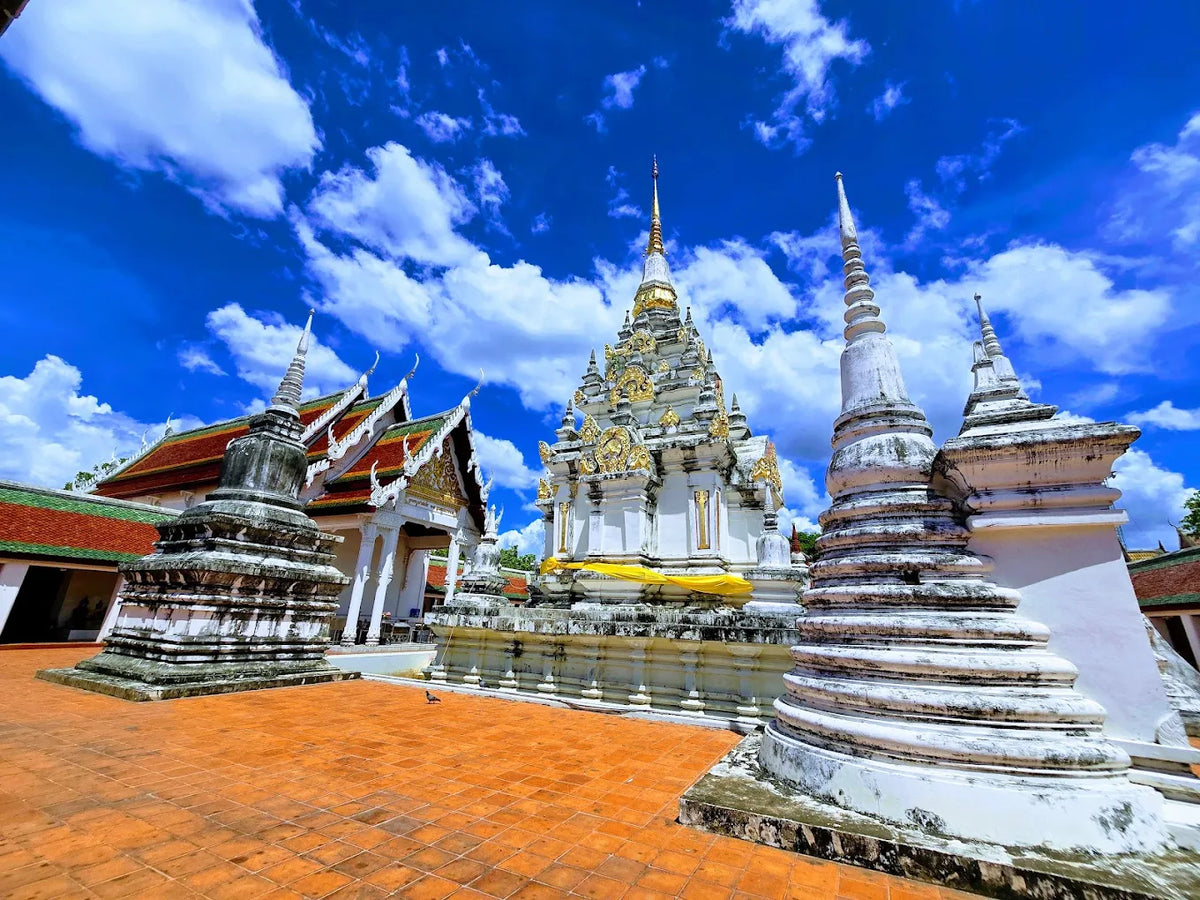 สุราษฎร์ธานี–เขื่อนเชี่ยวหลาน–ขนอม–สิชล–นครศรีธรรมราช 5 วัน 4 คืน