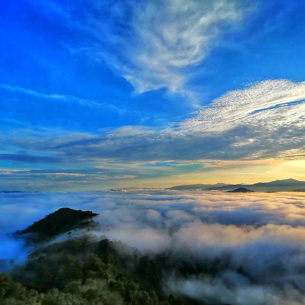 Betong–Songkhla 5 Days 4 Nights