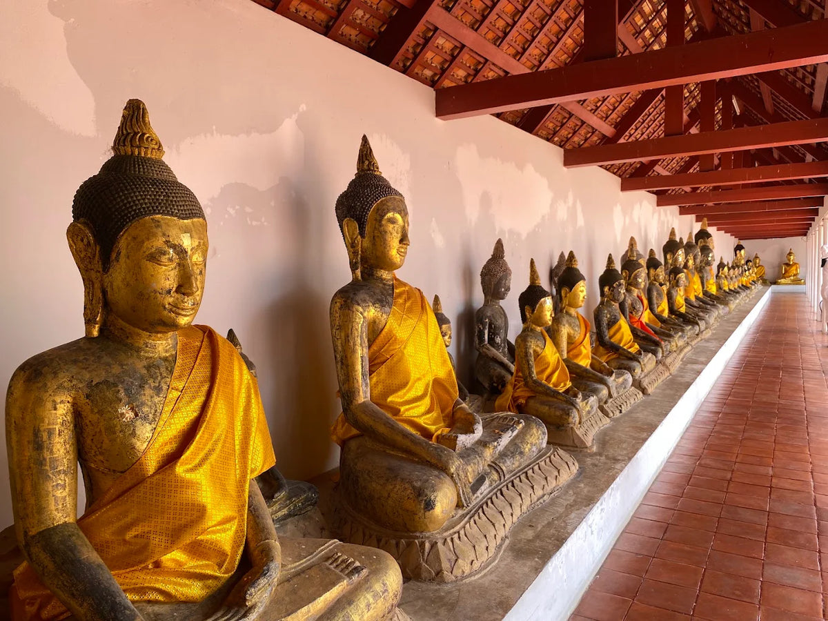 สุราษฎร์ธานี–เขื่อนเชี่ยวหลาน–ขนอม–สิชล–นครศรีธรรมราช 5 วัน 4 คืน