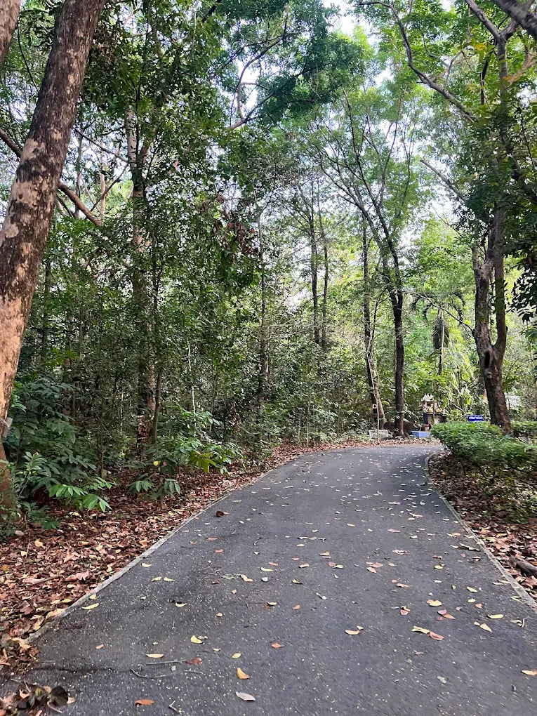 ทัวร์ายวัน-บางกะเจ้า สุนทรียภาพแห่งธรรมชาติและปอดสีเขียว